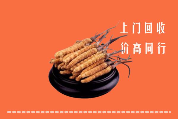 高价求购：晋中回收散虫草