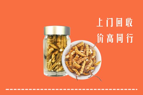 晋中回收冬虫夏草
