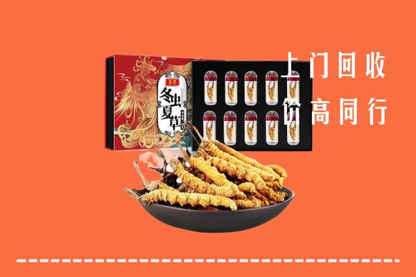 晋中回收虫草